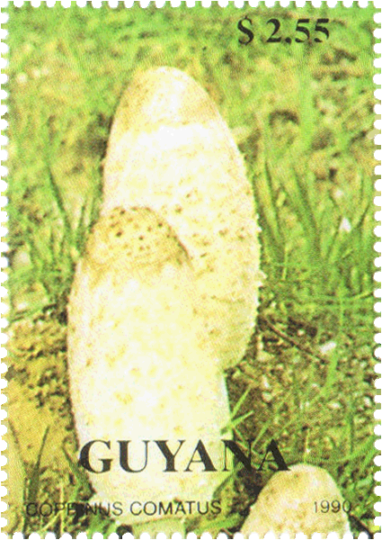 Briefmarke