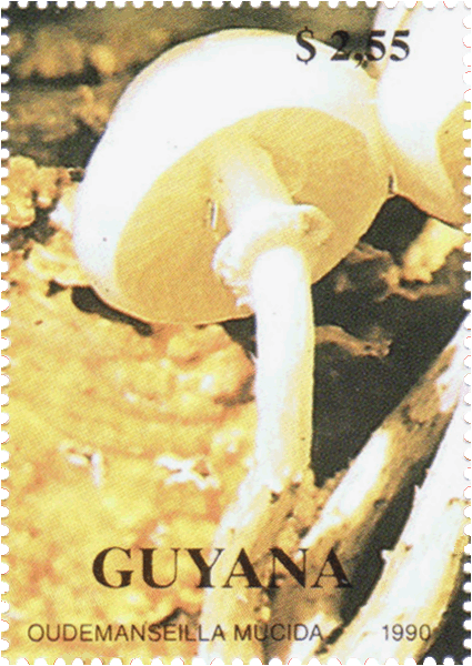 Briefmarke