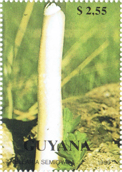 Briefmarke