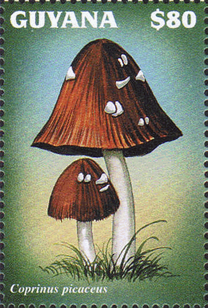 Briefmarke