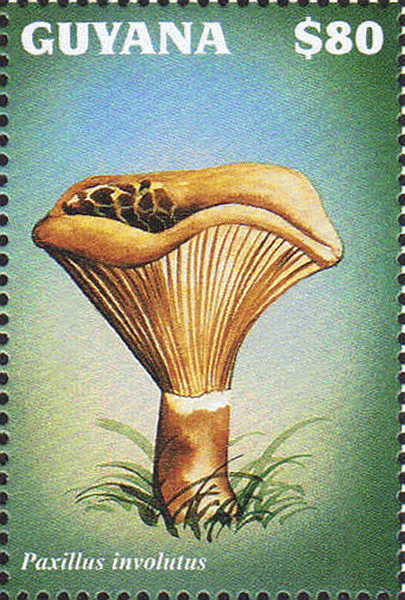 Briefmarke