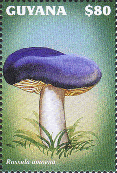 Briefmarke