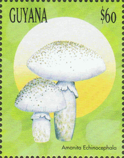 Briefmarke