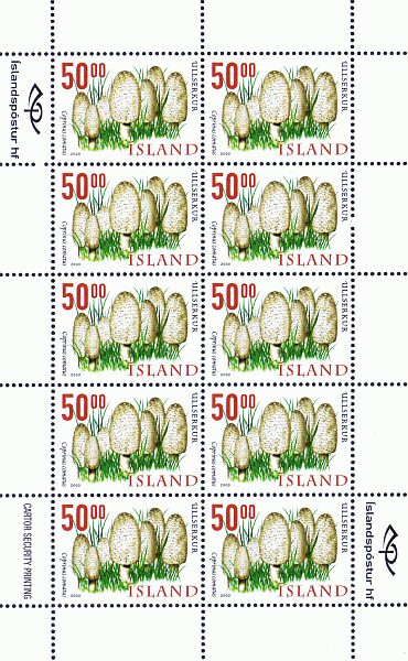 Kleinbogen