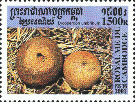 Briefmarke