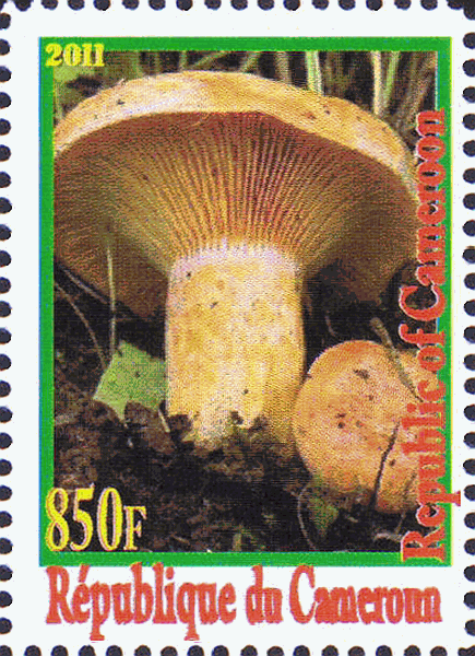 Briefmarke