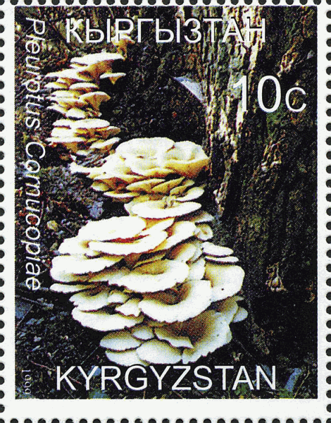 Briefmarke