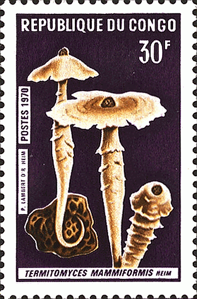 Briefmarke