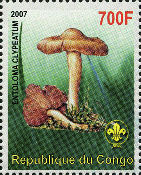 Briefmarke