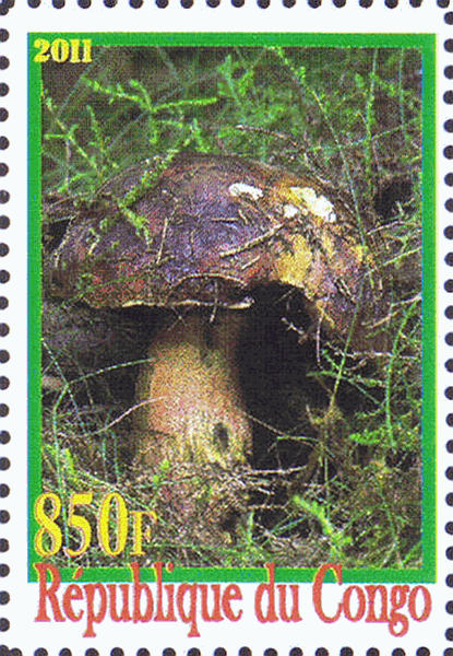 Briefmarke