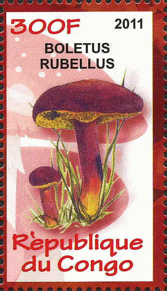 Briefmarke