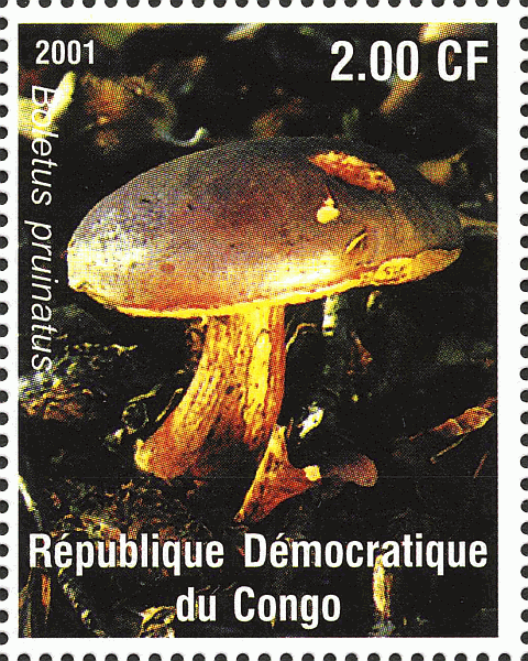 Briefmarke