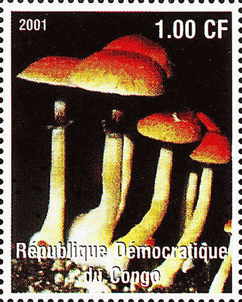 Briefmarke