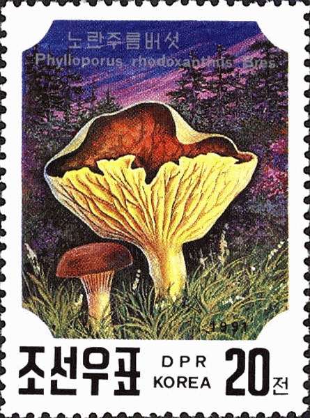 Briefmarke