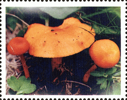 Briefmarke