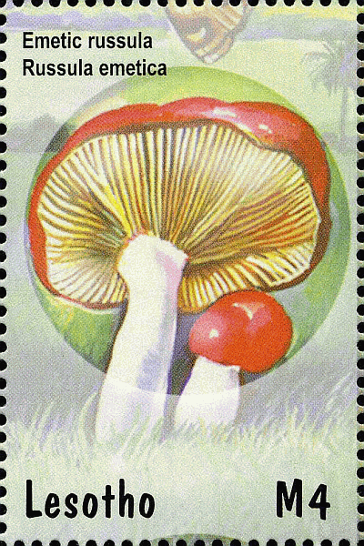 Briefmarke