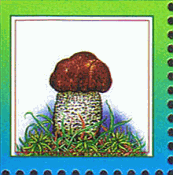 Briefmarke