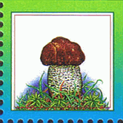 Briefmarke