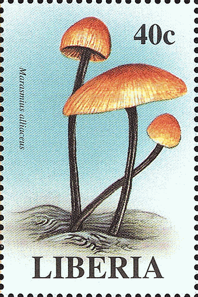 Briefmarke