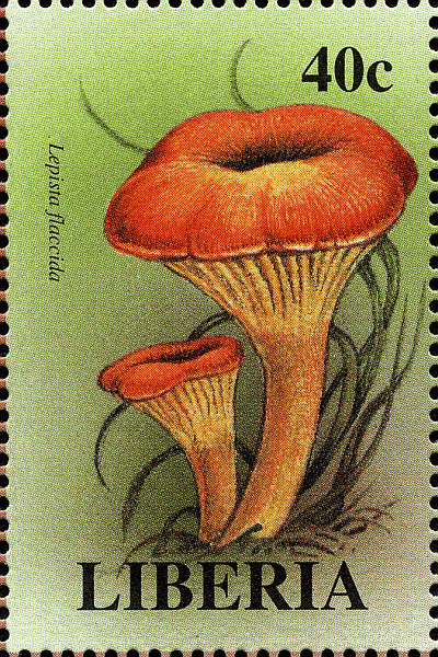 Briefmarke