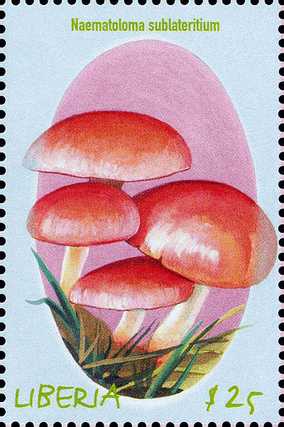 Briefmarke