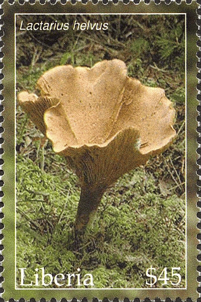 Briefmarke