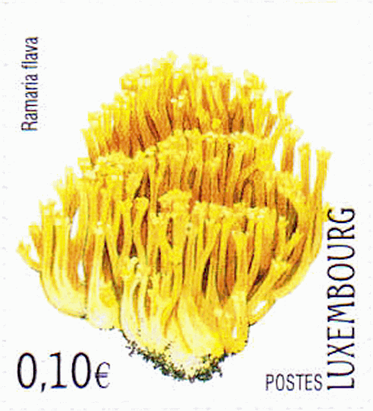 Briefmarke