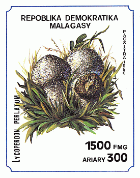Briefmarke