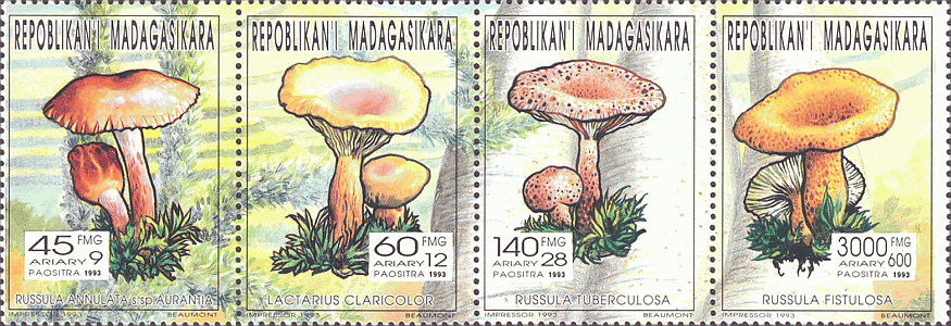Zusammendruck