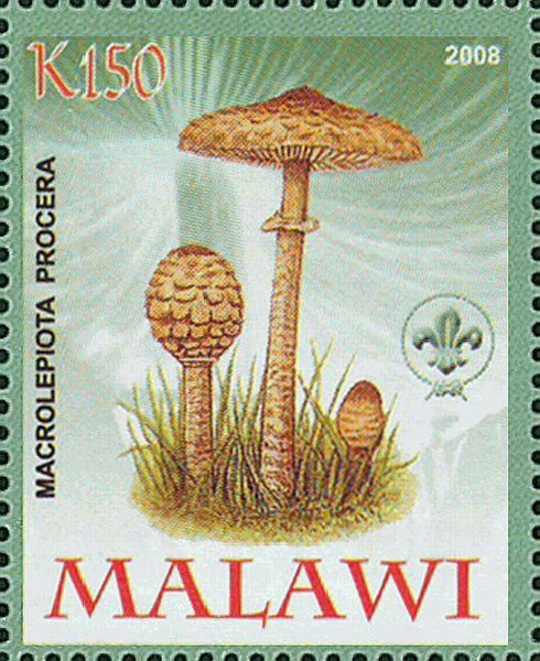 Briefmarke
