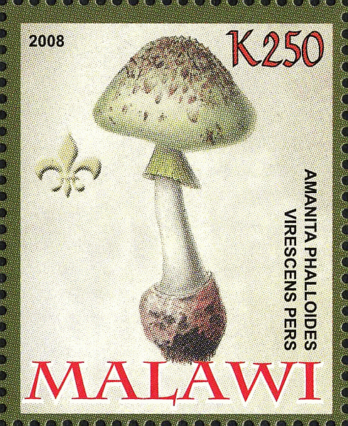 Briefmarke