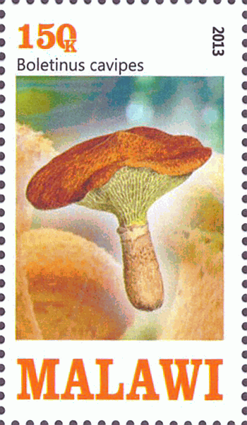 Briefmarke