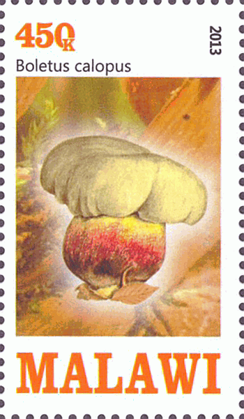 Briefmarke