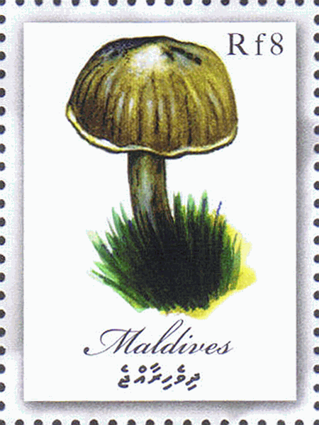 Briefmarke