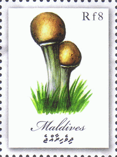 Briefmarke
