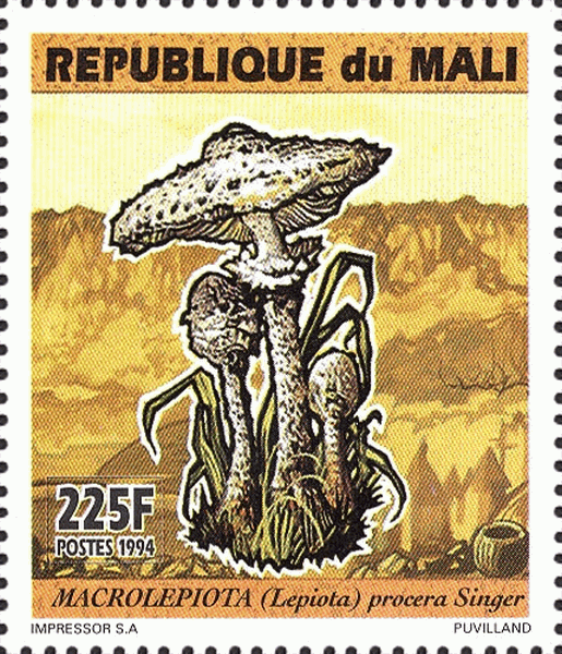 Briefmarke