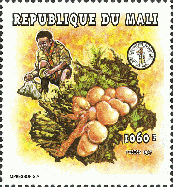 Briefmarke