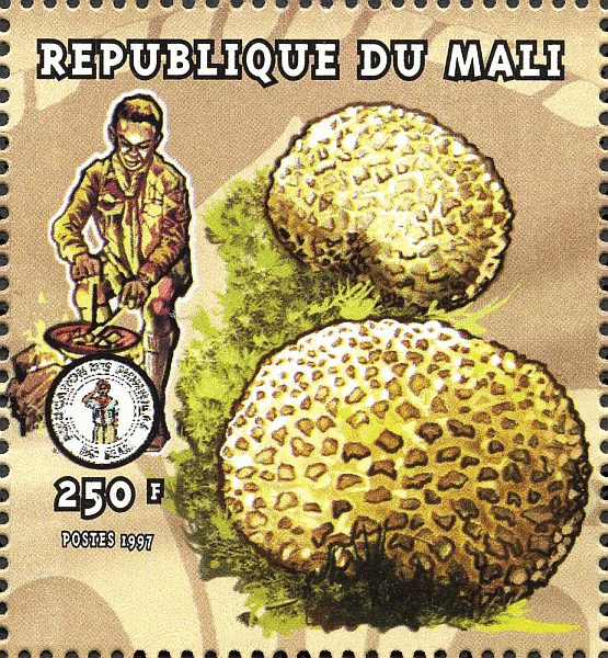 Briefmarke