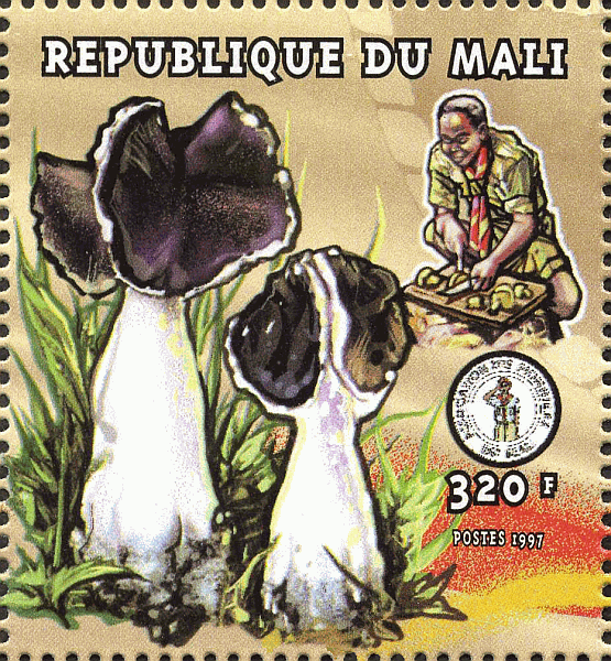 Briefmarke