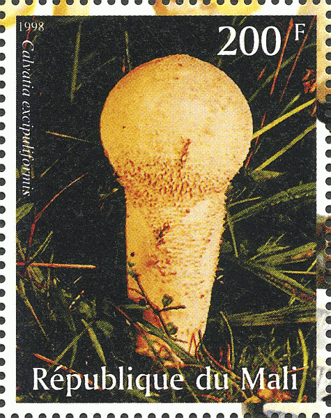Briefmarke