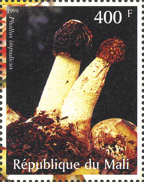 Briefmarke