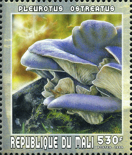 Briefmarke