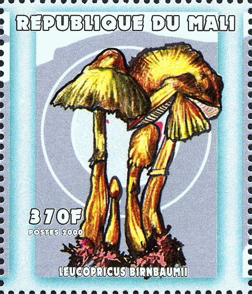 Briefmarke