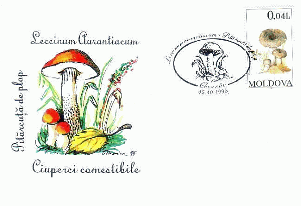 Sonderbriefumschlag