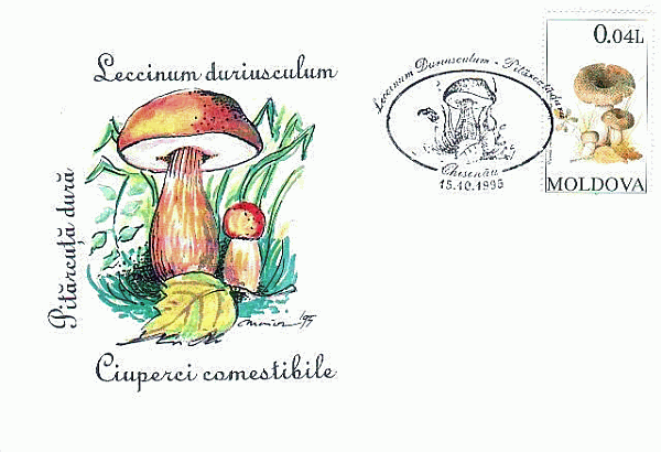 Sonderbriefumschlag