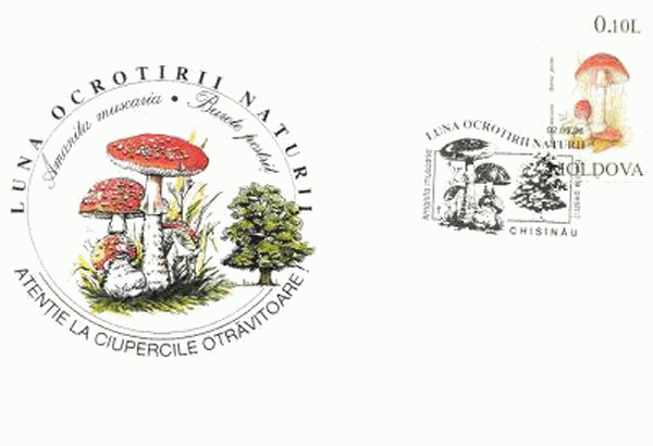 Sonderbriefumschlag