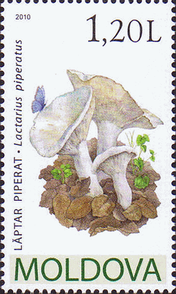 Briefmarke