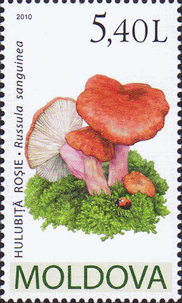 Briefmarke