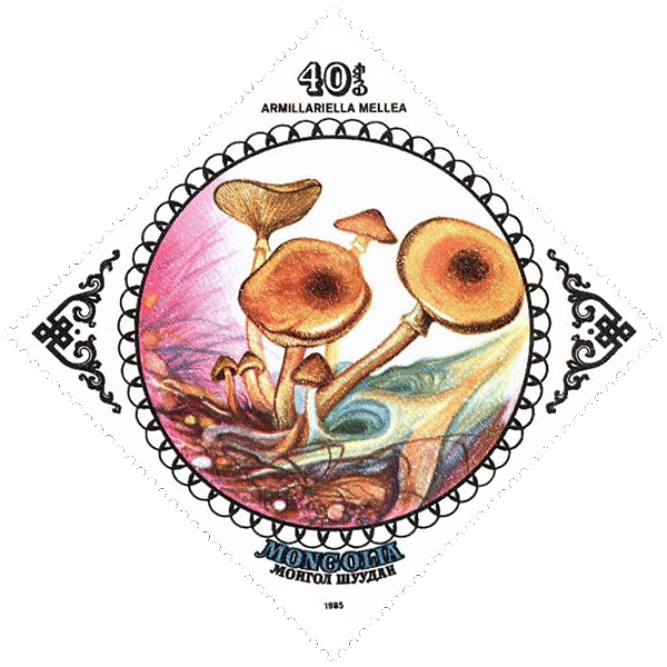 Briefmarke