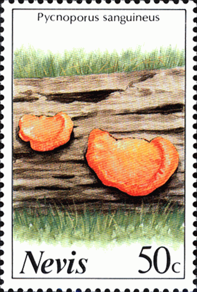Briefmarke